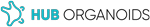 HUB Organoids
